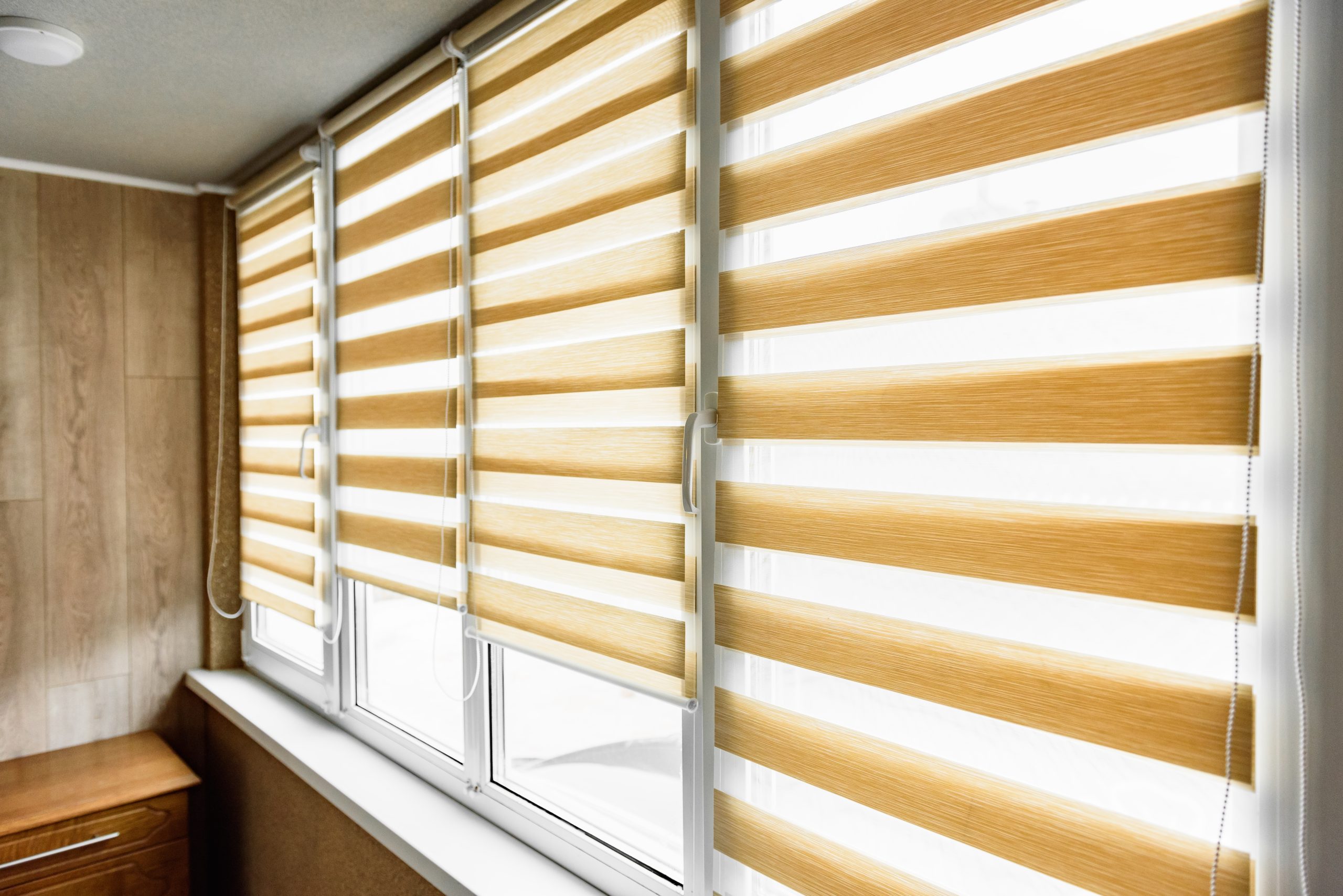 Window,Roller,,Duo,System,Day,And,Night,In,Home,Interior.