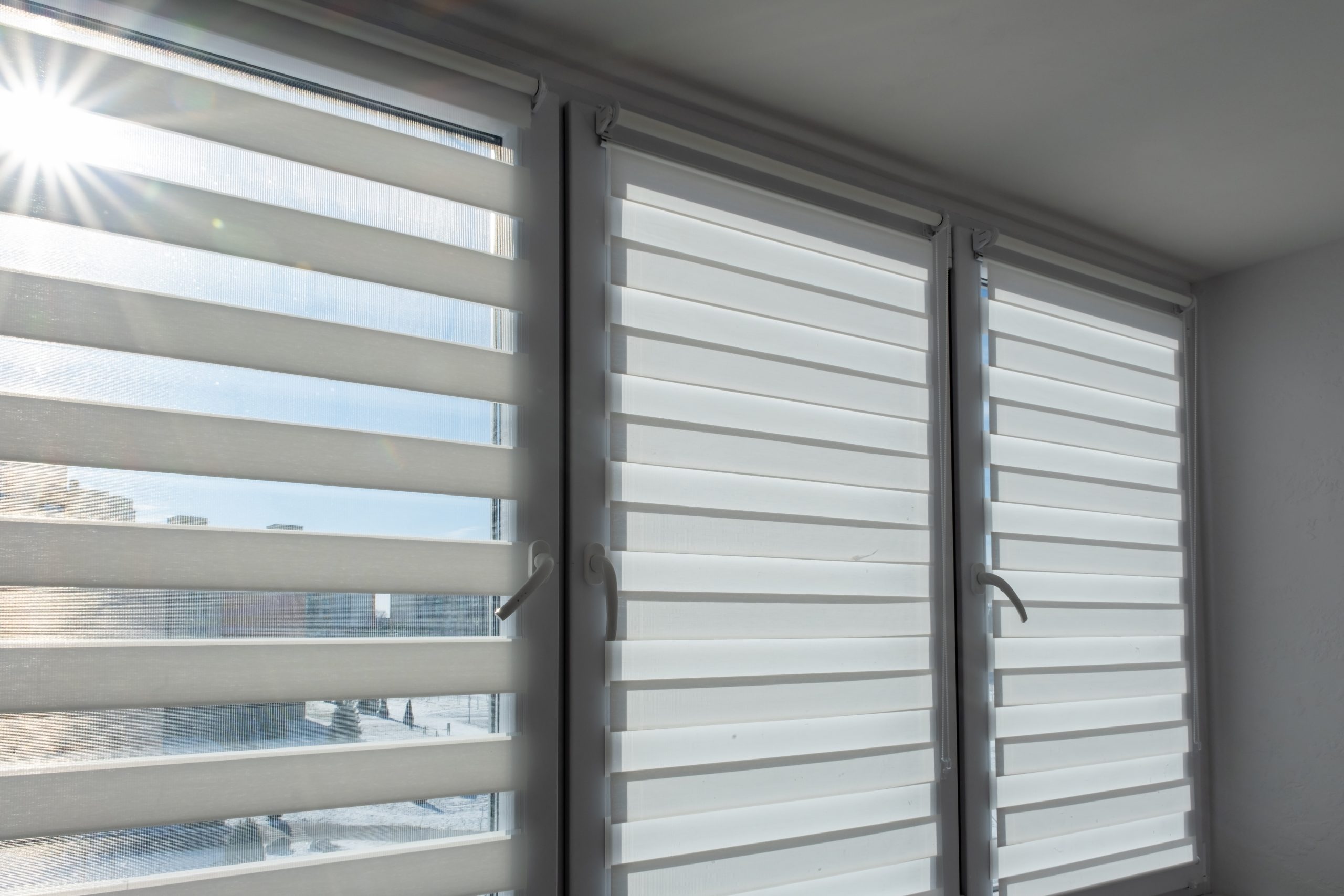Modern,White,Zebra,Roller,Blinds,On,Window,With,Sunlight,And