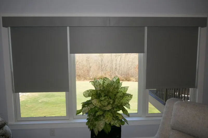 Charcoal roller shades with a fascia over living room windows, one raised to a green view