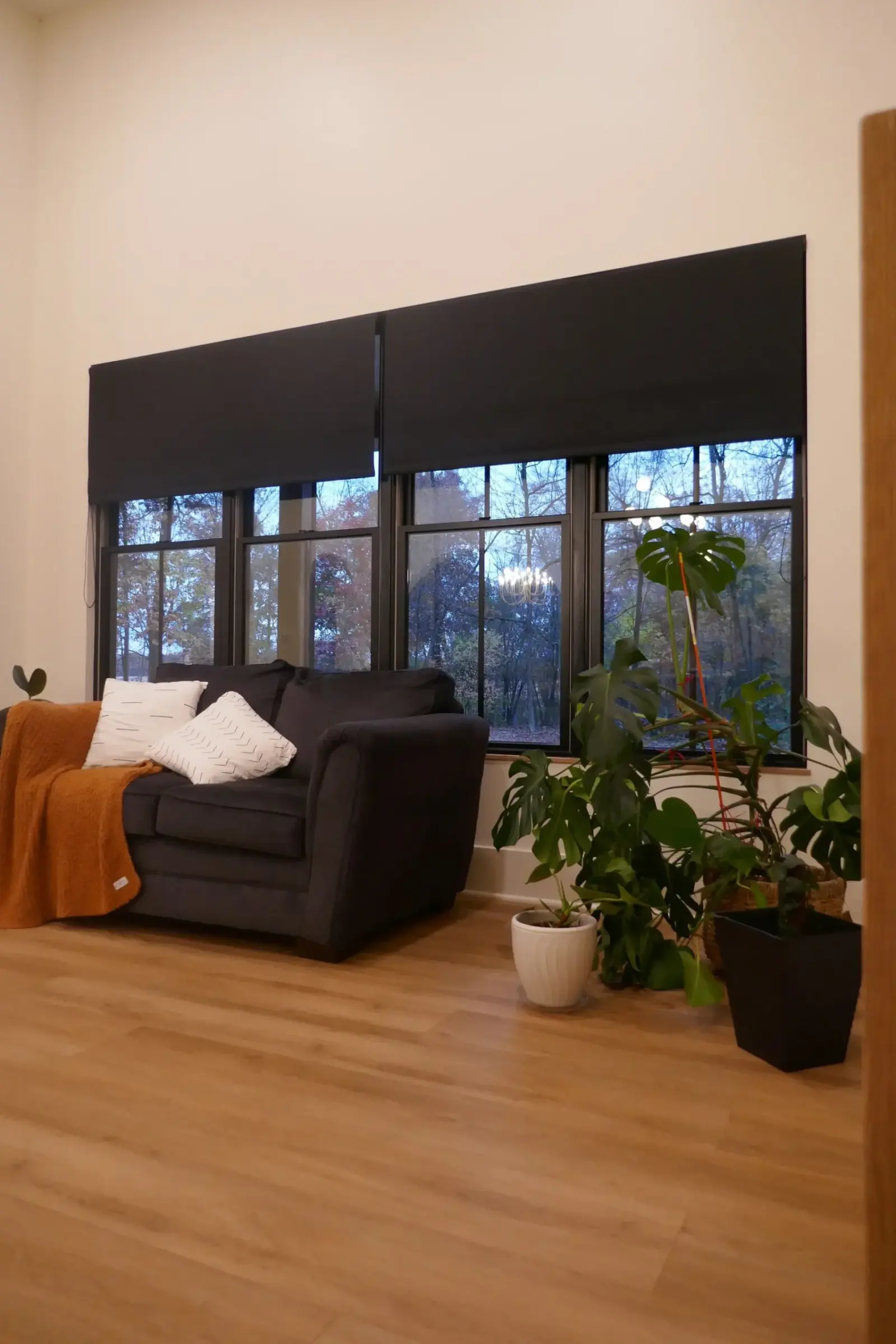 Dark roller shades lowered on a bank of living room windows beside an armchair and plants